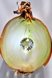 Onion-Diamond-Swist-78acc004